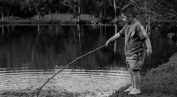 Família de Família Basei