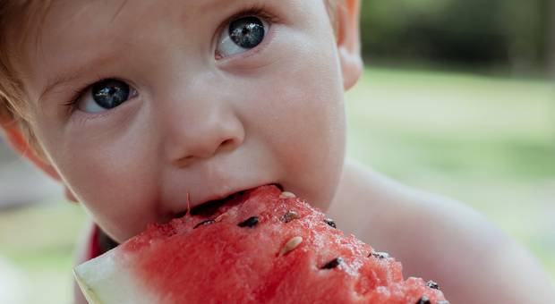 Infantil de 1 ano do Giuseppe - Ensaio infantil