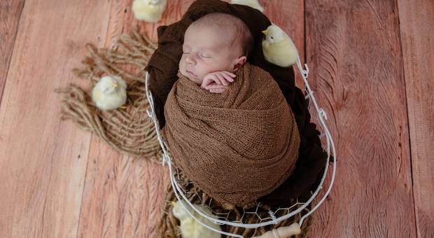 Newborn de Newborn do Pedro Henrique