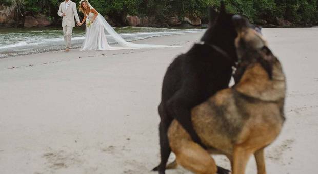 CASAMENTO de CASAMENTO ITAMAMBUCA ECO RESORT | CAROL & ALOISIO