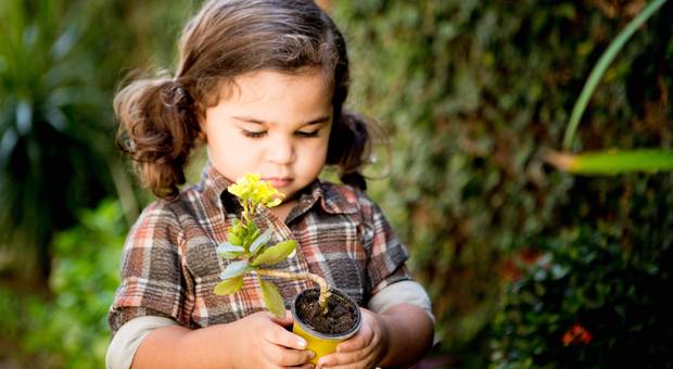 Ensaio infantil externo de Manu