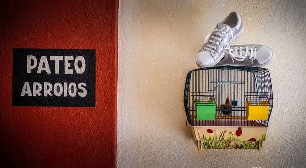 Casamento de Leonor & Elton