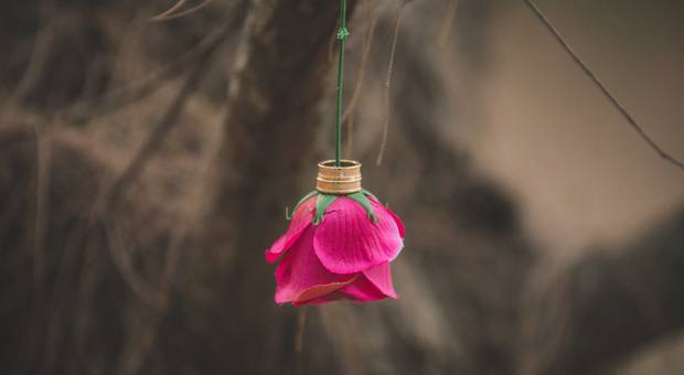 Pré Wedding de Camila & João