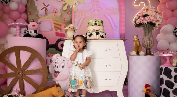 Festa Infantil de Festa de 2 Anos da Olívia 