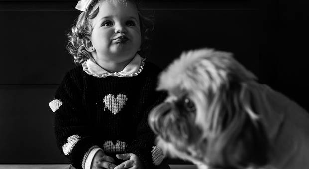 Ensaio Família   de Ensaio Família - Em Casa 