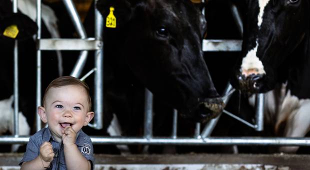 Acompanhamento Bebê  de 1 Ano Arthur