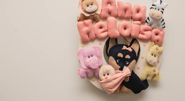 Parto  de A Chegada da Ana Heloísa