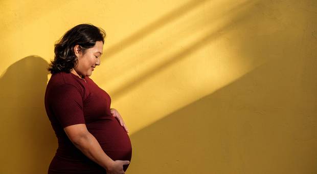 Gestantes de Melissa à caminho