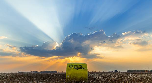Publicidade de Tama Brasil