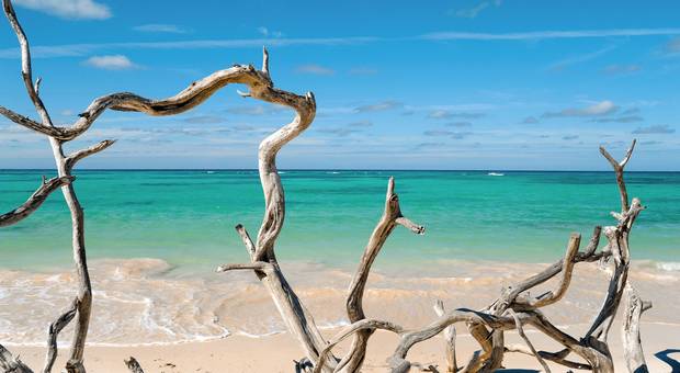 Exposições de Cuba