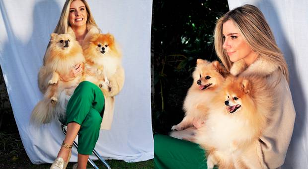 Exposições de AMO MEU PET-RETRATOS