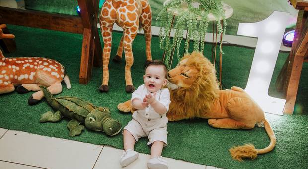 Aniversarios de THEO PRIMEIRO ANINHO