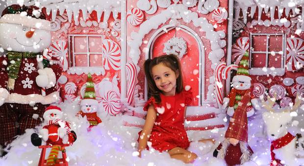 ENSAIOS TEMÁTICOS de ELISA