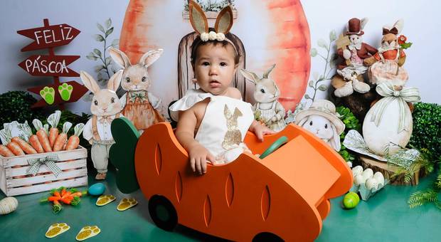 ACOMPANHAMENTO MENSAL de LIVIA 11 MESES