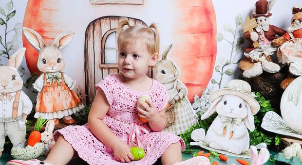 ENSAIOS TEMÁTICOS de LIZ