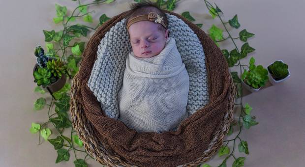 NEWBORN de NEWBORN ELISA