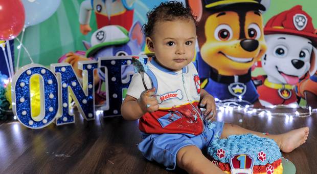 SMASH THE CAKE de HEITOR - PATRULHA CANINA