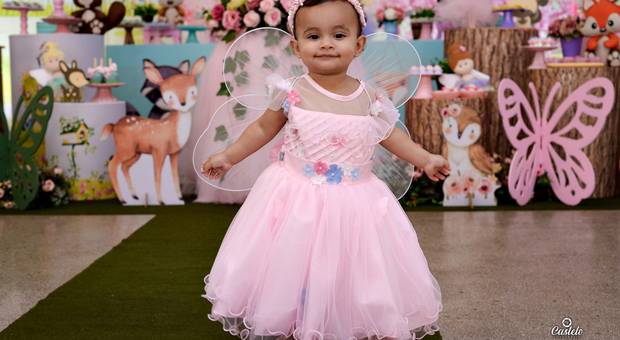 ANIVERSÁRIO INFANTIL de ANA LAURA 1 ANO