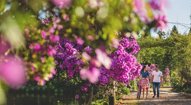 Pré Casamento de Elisa +  Herick