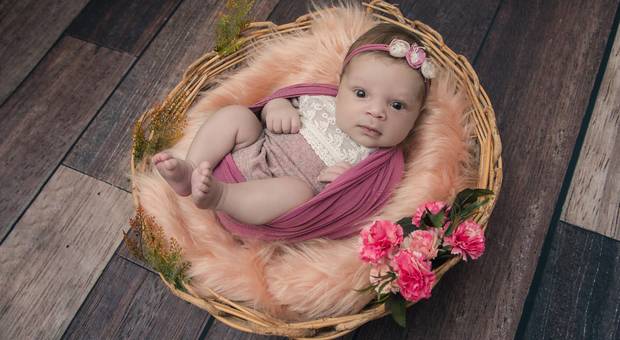 |NEWBORN - MENINAS| de CESTINHO RÚSTICO