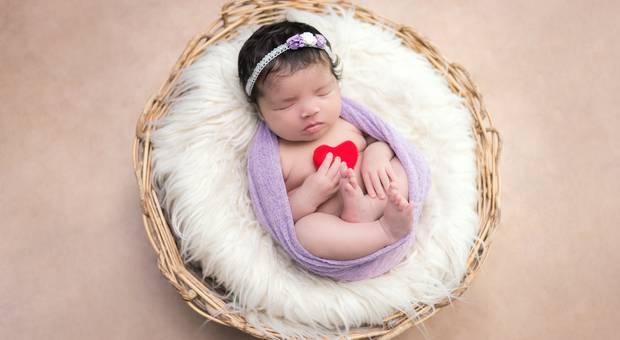 |NEWBORN - MENINAS| de CESTINHO - LOVE