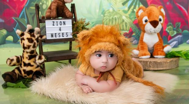 |PORTFÓLIO DE CENÁRIOS  - MENINOS| de SAFARI