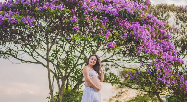 |GESTANTE - EXTERNO| de GESTANTE - CAROL