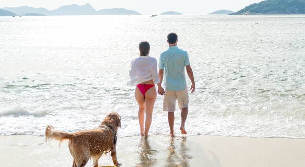 Ensaio gestante de ENSAIO GESTANTE NATALIA