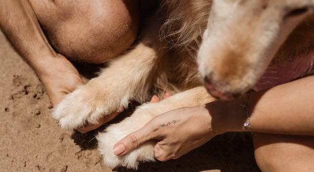 Pré Wedding de Eva - Pra sempre (Fotos)
