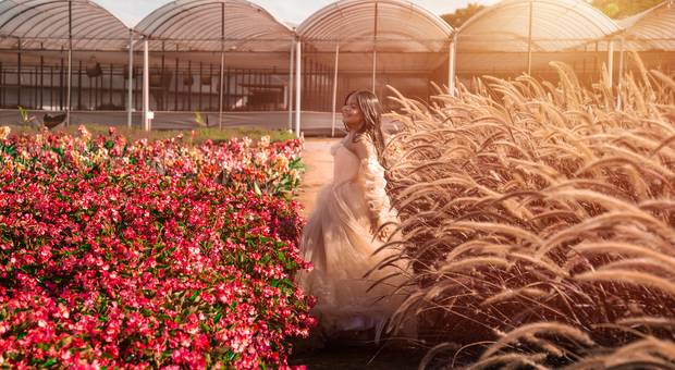 15 anos de Seu sonho em Holambra | A cidade das flores