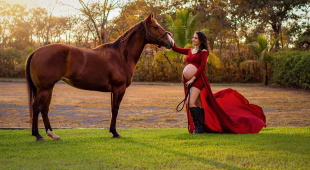 Gestante de Ensaio Gestante | A Espera de Gael