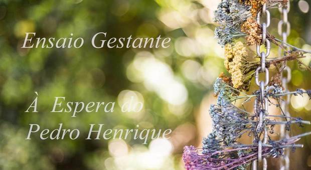 Ensaios  de Ensaio gestante Raiane