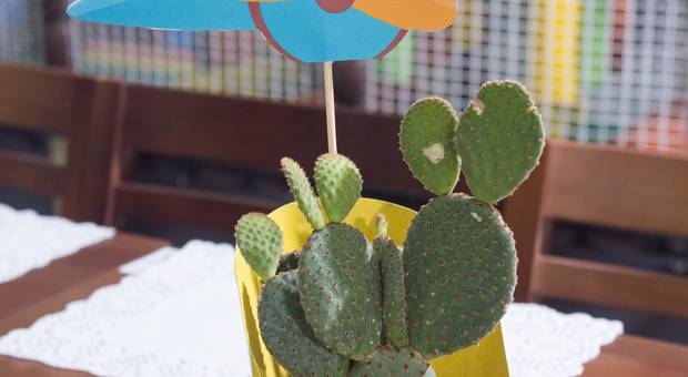 Aniversário de Raul - 6 anos