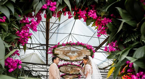 CASAMENTO de CASAMENTO NO SOLLAR DA ÁRVORE (MOGI DAS CRUZES-SP)