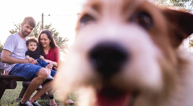 FAMILIA de ENSAIO DE FAMILIA NO PORTINHO EM PRAIA GRANDE