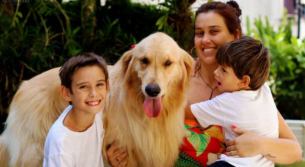 Golden Retriever de Filó e Família