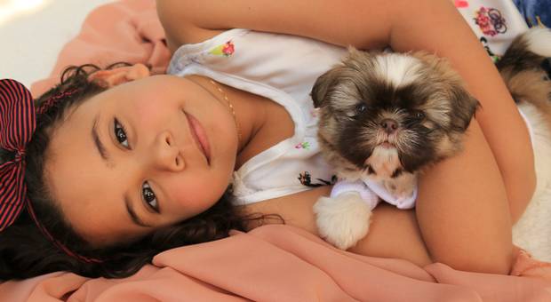 Pet e Família de Lully, Milly & Família