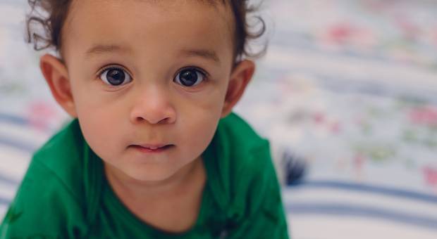 Histórias de Família de Gabi + Bruno = Davi 