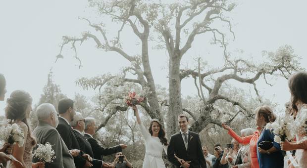 Wedding de Mariana e Pablo