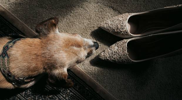 Bodas  de Vanessa & Luis