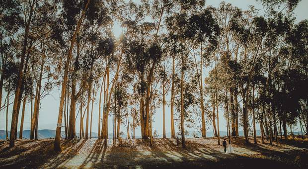 Post Bodas & Trash the Dress de Carolina & Diego