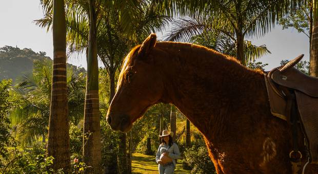 Gestante de Ensaio Gestante da Isabela no Pouso Alto - Natividade da Serra - SP