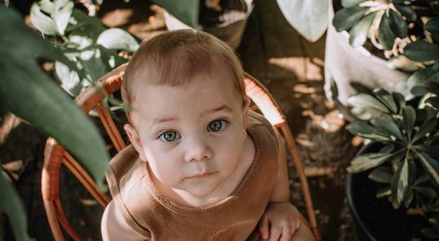 Acompanhamento de Acompanhamento do bebê