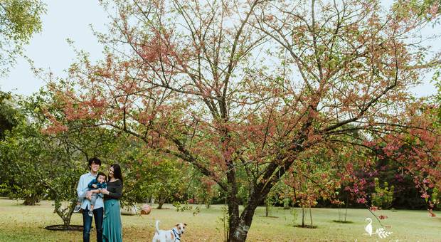 Ensaios de Teo, Ana e Ryan