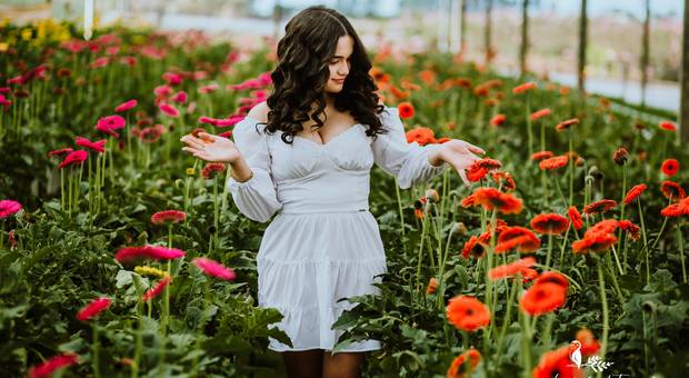 Ensaios de Jade - 15 Anos