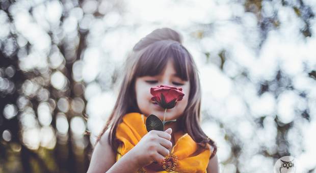 Ensaios de Clarinha - A Bela e a Fera