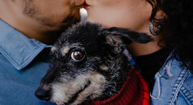 Pré Casamento de Fotografia Pré-Wedding em Ouro Preto, Minas Gerais, Tutuka e Babi