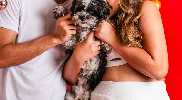 Estúdio de Sessão de Natal em Estúdio em João Monlevade - Marphiza