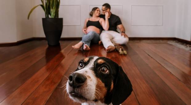 Gestante de Ensaio Fotográfico de Gestante em João Monlevade, Minas Gerais – Isadora, Notélio e Athena