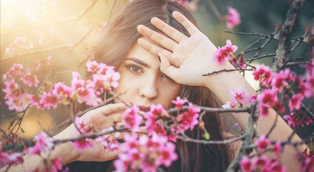 15 anos/Books de Rafaela Boteon Gebara 